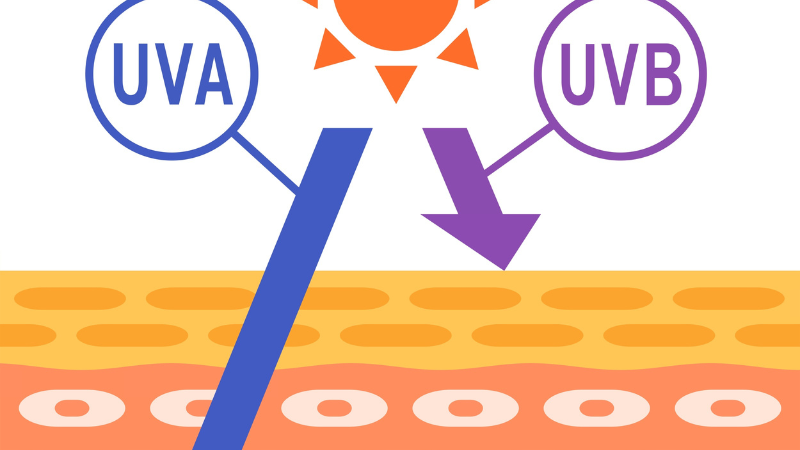 2026 Infographic listing 12 toxic baby skincare ingredients to avoid including Parabens and Sulfates