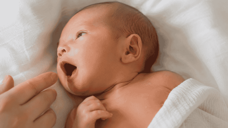 A newborn baby being bottle-fed by a parent, showing a close-up of the baby's face and the bottle